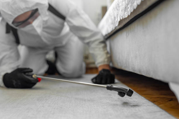 Professional Bed Bug Control technician working in Brandywine Bay, NC